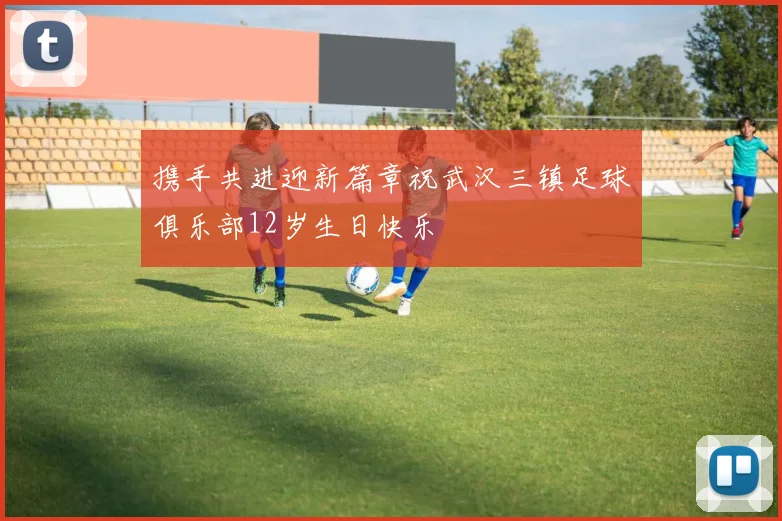 携手共进迎新篇章祝武汉三镇足球俱乐部12岁生日快乐