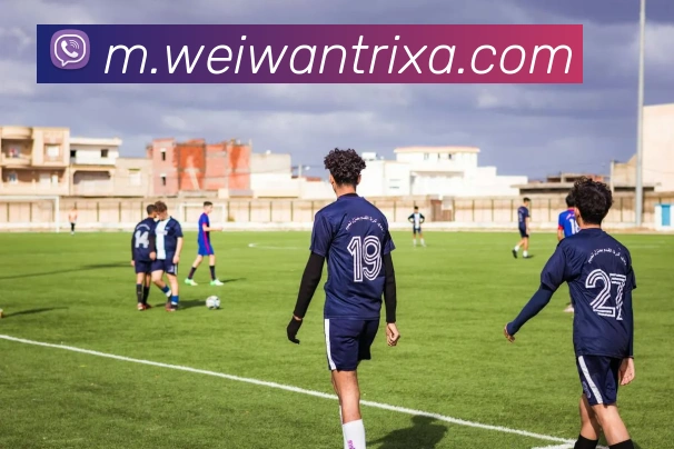 多媒体互动体验